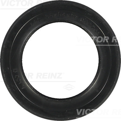 SHAFT OIL SEAL - V.REINZ