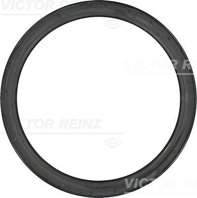 SHAFT OIL SEAL - V.REINZ