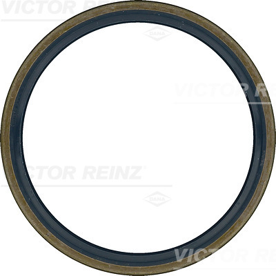 SHAFT OIL SEAL - V.REINZ