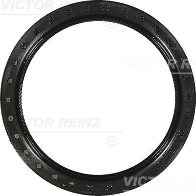 SHAFT OIL SEAL - V.REINZ