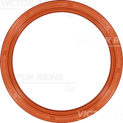 SHAFT OIL SEAL - V.REINZ