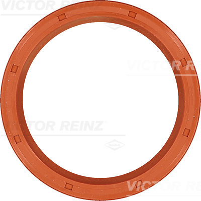 SHAFT OIL SEAL - V.REINZ