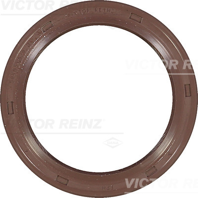 SHAFT OIL SEAL - V.REINZ