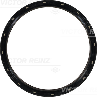 SHAFT OIL SEAL - V.REINZ