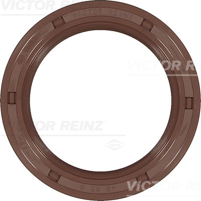 SHAFT OIL SEAL - V.REINZ