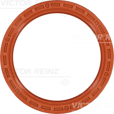 SHAFT OIL SEAL - V.REINZ