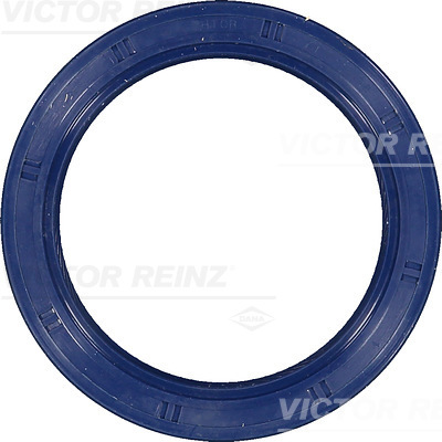 SHAFT OIL SEAL - V.REINZ