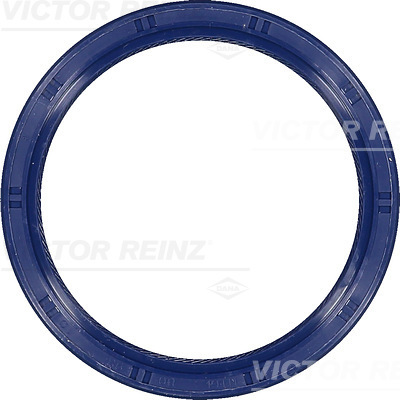 SHAFT OIL SEAL - V.REINZ