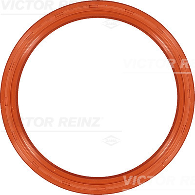 SHAFT OIL SEAL - V.REINZ