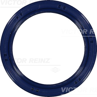 SHAFT OIL SEAL - V.REINZ