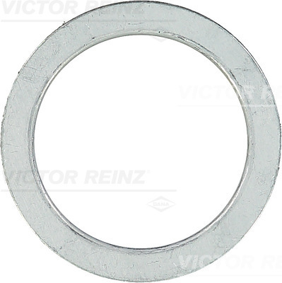 RING 43X58X1.9 - V.REINZ