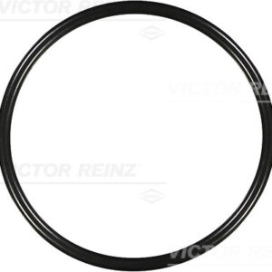 SEAL RING - V.REINZ