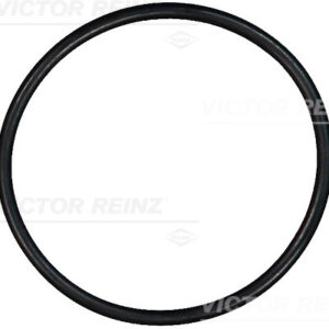 SEAL RING - V.REINZ