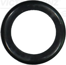 SEAL RING - V.REINZ