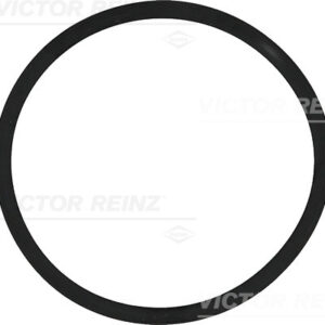 SEAL RING - V.REINZ