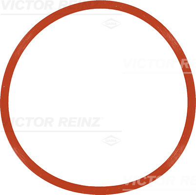 SEAL RING - V.REINZ