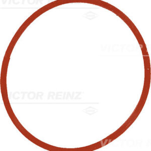 SEAL RING - V.REINZ