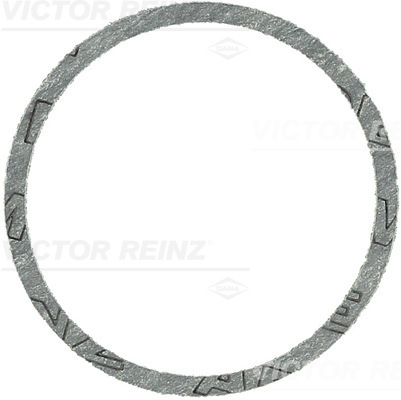 RING 48X54X0.5 - V.REINZ