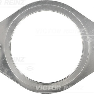 FLANGE GASKET 49X64X97X75X11X1.3 - V.REINZ