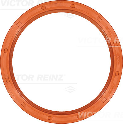 SHAFT SEAL. CRANKSHAFT - V.REINZ