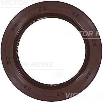 RADIAL OIL SEAL. CRANKSHAFT - V.REINZ