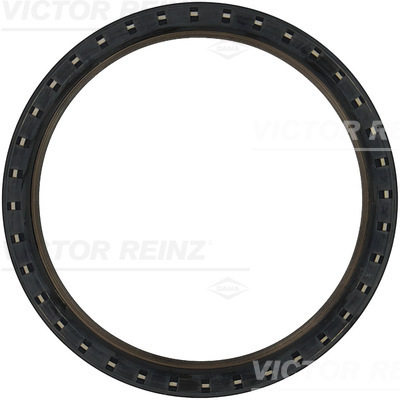 RADIAL OIL SEAL. CRANKSHAFT - V.REINZ