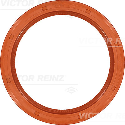 SHAFT OIL SEAL - V.REINZ