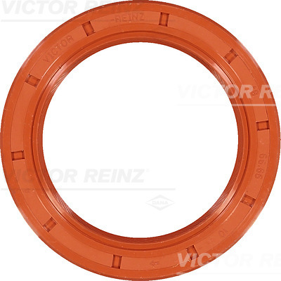 SHAFT OIL SEAL - V.REINZ