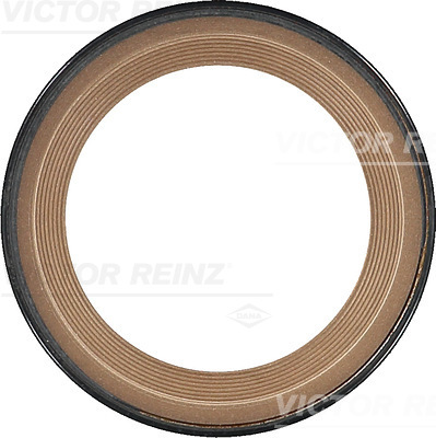 SHAFT OIL SEAL - V.REINZ