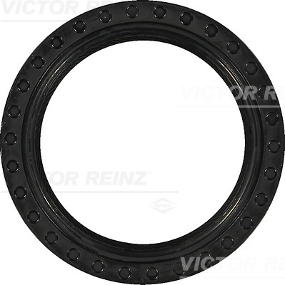 SHAFT OIL SEAL - V.REINZ