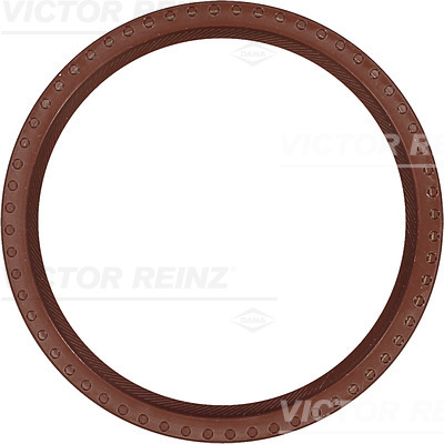 SHAFT OIL SEAL - V.REINZ