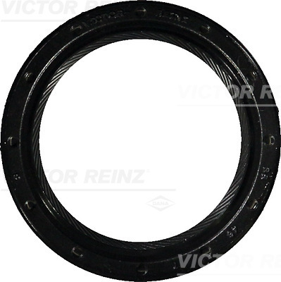 SHAFT OIL SEAL - V.REINZ