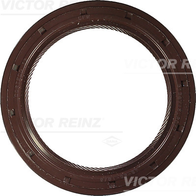 SHAFT OIL SEAL - V.REINZ