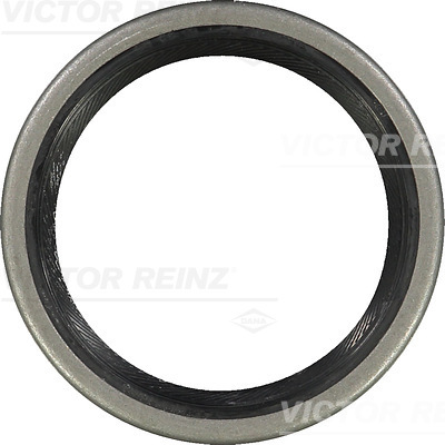 SHAFT OIL SEAL - V.REINZ