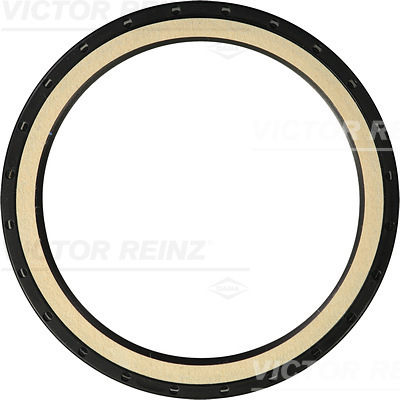 SHAFT OIL SEAL - V.REINZ