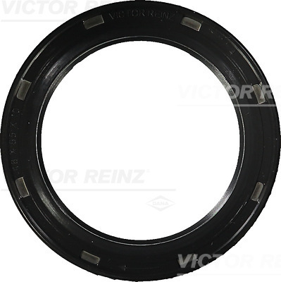 RADIAL OIL SEAL. CRANKSHAFT - V.REINZ