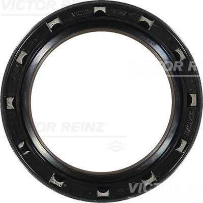 SHAFT OIL SEAL - V.REINZ