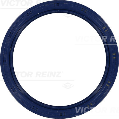 SHAFT OIL SEAL - V.REINZ