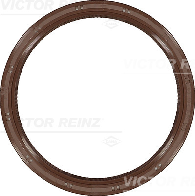 SHAFT OIL SEAL - V.REINZ