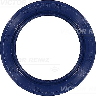 SHAFT OIL SEAL - V.REINZ