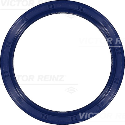 SHAFT OIL SEAL - V.REINZ