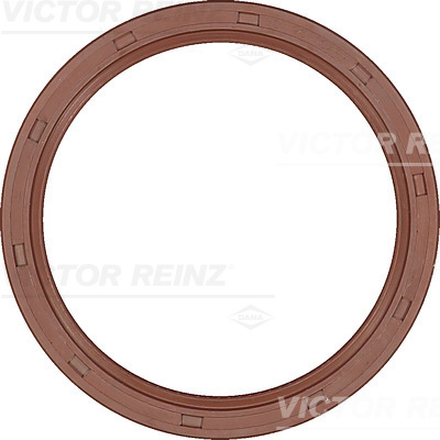 SHAFT OIL SEAL - V.REINZ