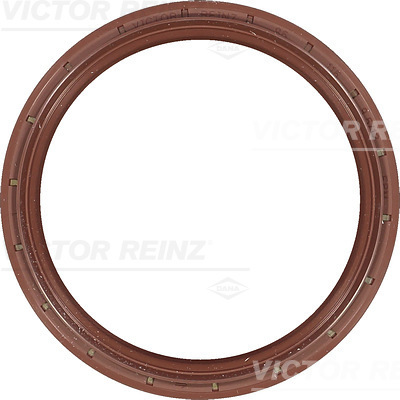 SHAFT OIL SEAL - V.REINZ