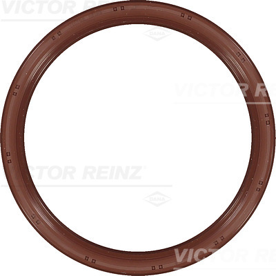 SHAFT OIL SEAL - V.REINZ