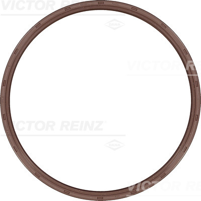 SHAFT OIL SEAL - V.REINZ