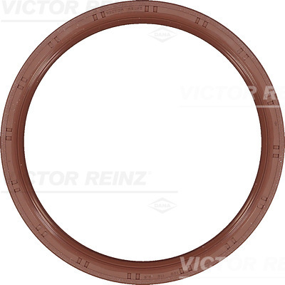 SHAFT OIL SEAL - V.REINZ