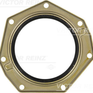 SHAFT OIL SEAL - V.REINZ