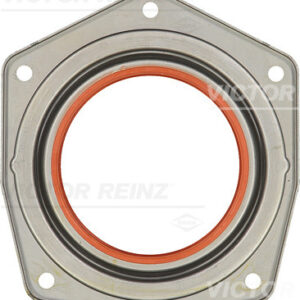 SHAFT OIL SEAL - V.REINZ