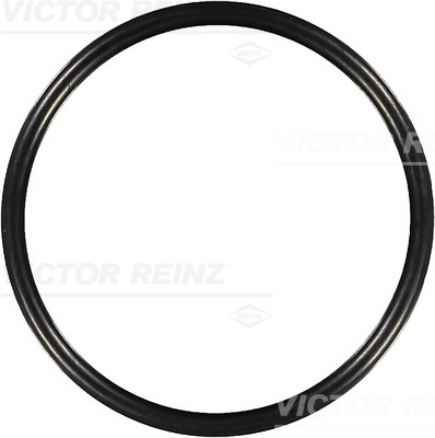 SEAL RING - V.REINZ