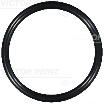 SEAL RING - V.REINZ